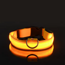 Trela LED Fluorescente para Cães