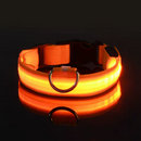 Trela LED Fluorescente para Cães