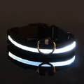 Trela LED Fluorescente para Cães