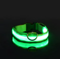 Trela LED Fluorescente para Cães