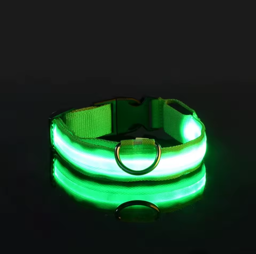 Trela LED Fluorescente para Cães