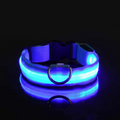 Trela LED Fluorescente para Cães