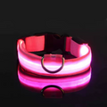 Trela LED Fluorescente para Cães