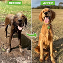 Pulverizador com bocal Ajustável de alta pressão