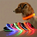 Trela LED Fluorescente para Cães