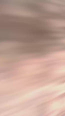 Brinquedo de Pelúcia para Gatos Flying Bird